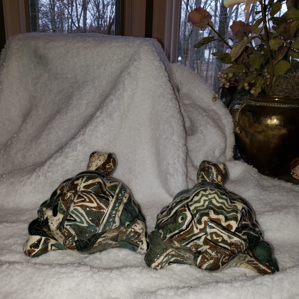 Turtles   - Picture 4 of 7
